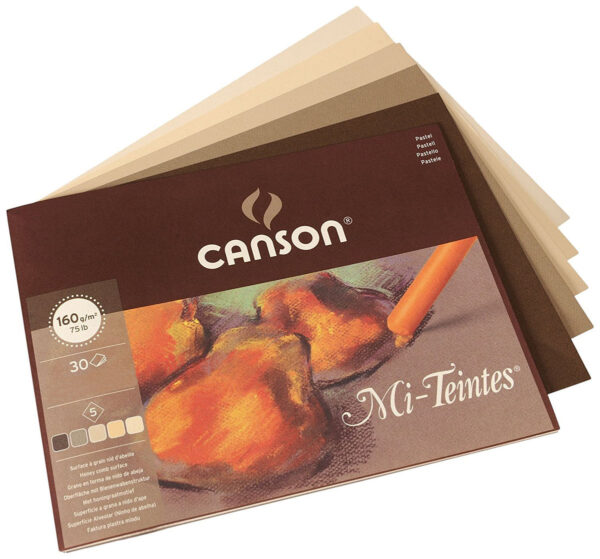 Canson Mi-Teintes Pastel Paper earth tones